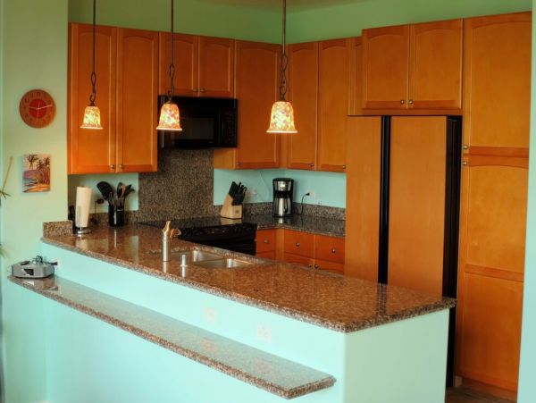 Kohala Coast Home 1000911