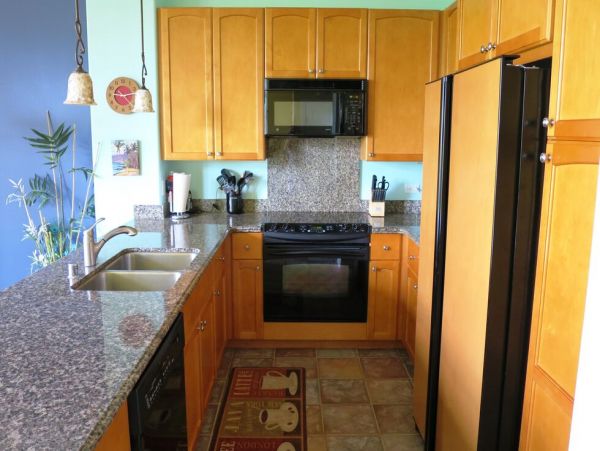 Kohala Coast Home 1000911
