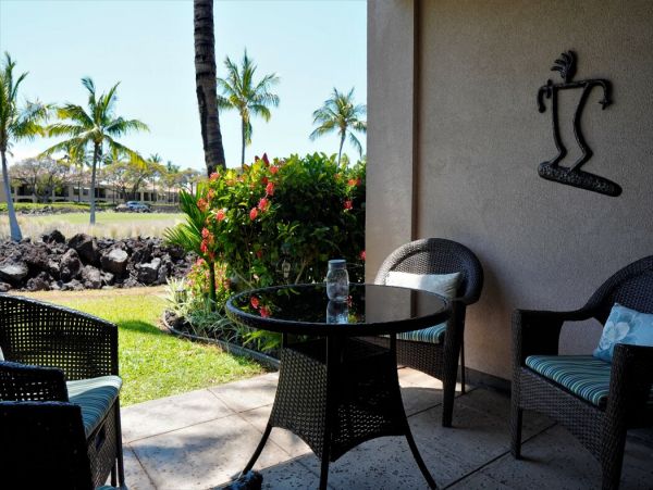 Kohala Coast Home 1000911