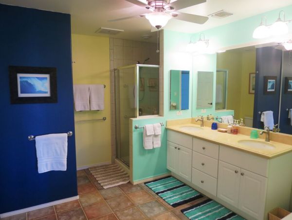 Kohala Coast Home 1000911