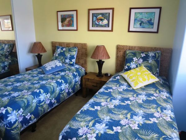 Kohala Coast Home 1000911