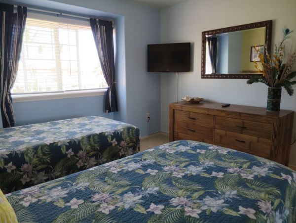 Kohala Coast Home 1000911