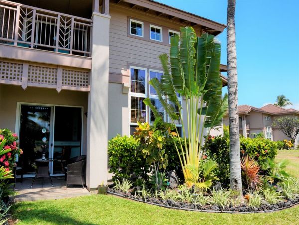 Kohala Coast Home 1000911