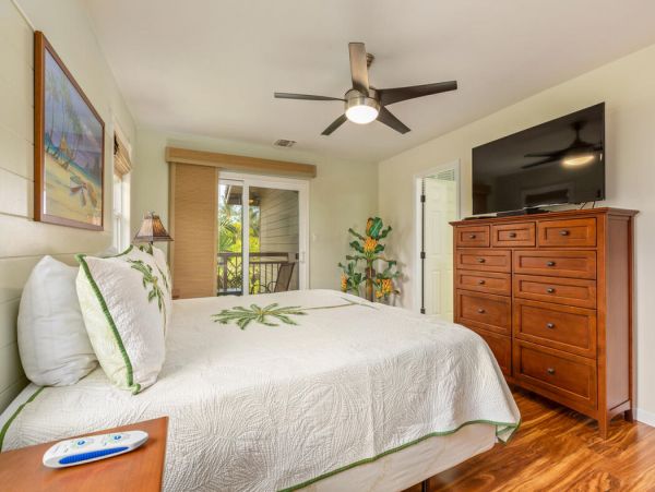 Kohala Coast Home 1000912