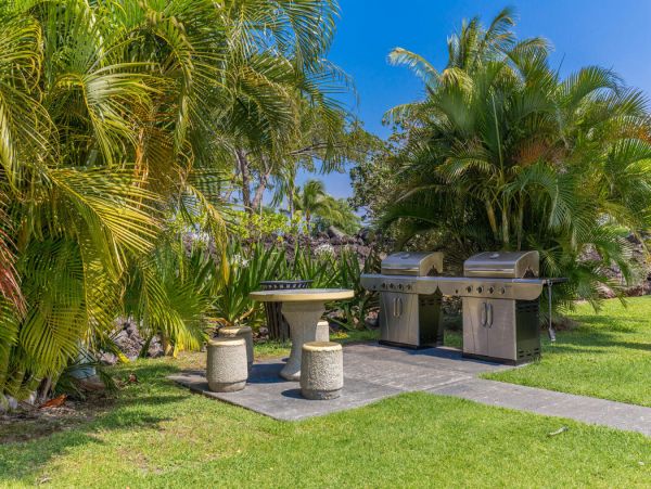 Kohala Coast Home 1000912