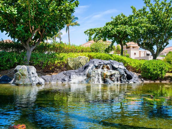 Kohala Coast Home 1000914