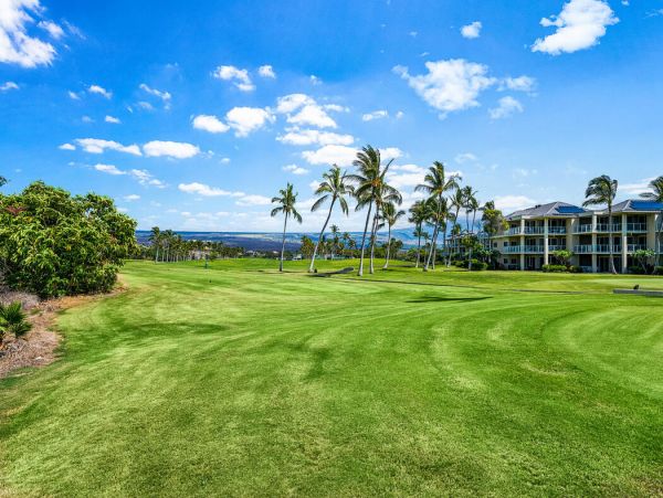 Kohala Coast Home 1000914