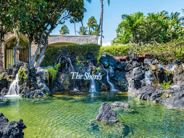 Kohala Coast Home 1000914