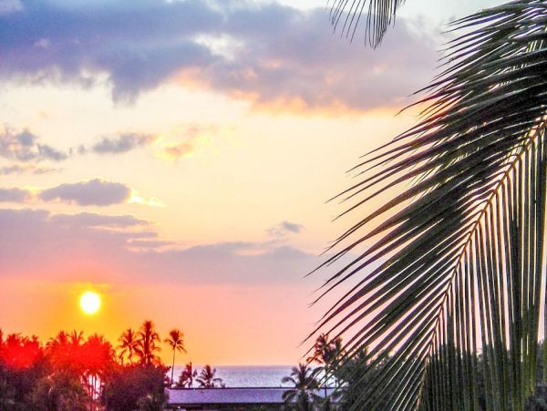 Kohala Coast Home 1000914