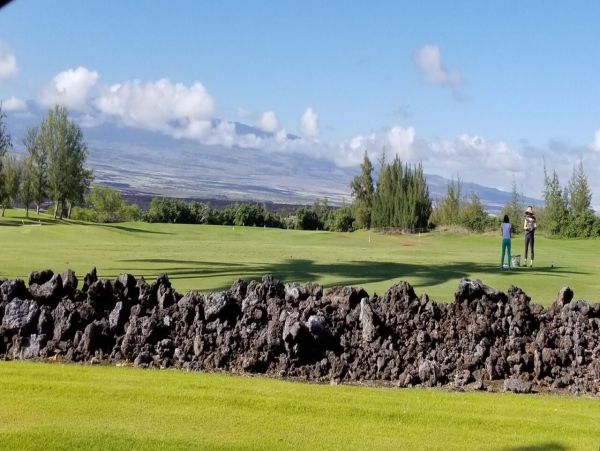 Kohala Coast Home 1000915