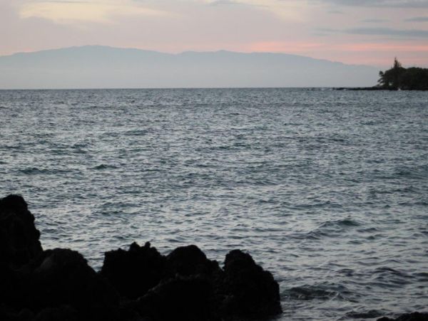 Kohala Coast Home 1000915