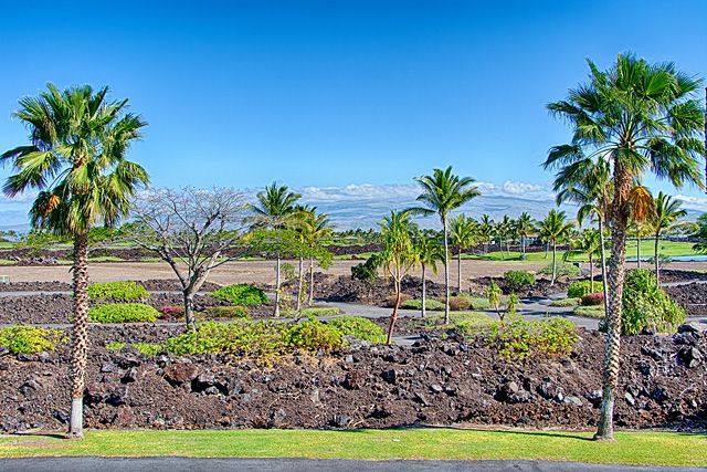 Traditional Hawaiian Two Bedroom