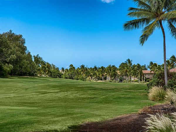 Traditional Hawaiian Two Bedroom