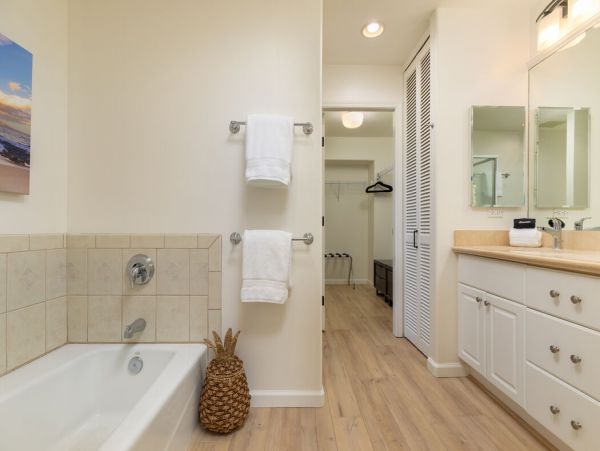 Kohala Coast Home 1000919
