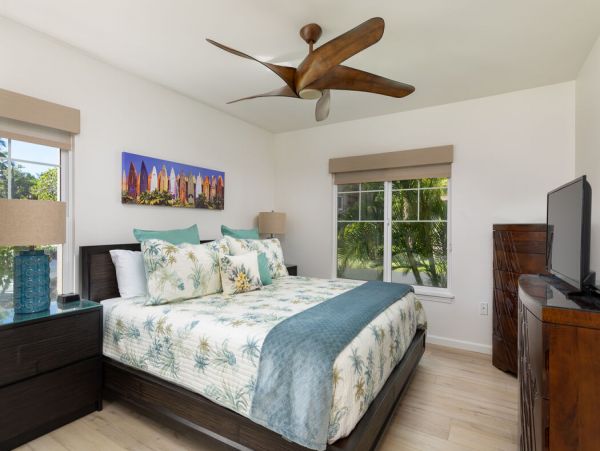 Kohala Coast Home 1000919