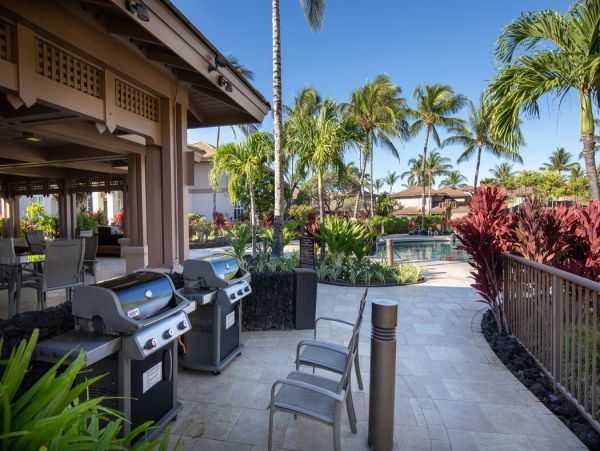 Kohala Coast Home 1000919