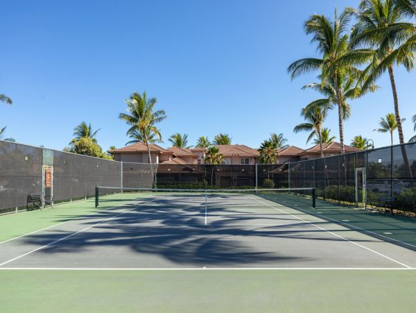Kohala Coast Home 1000919