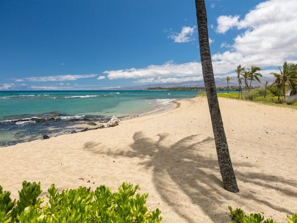 Kohala Coast Home 1000919