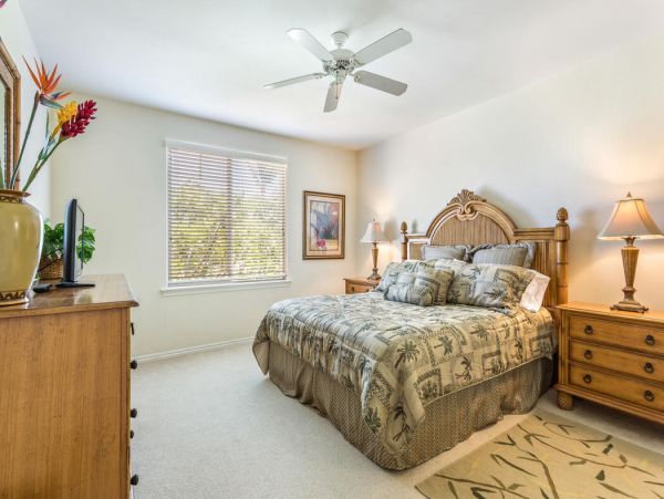 Kohala Coast Home 1000920