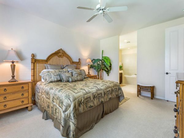 Kohala Coast Home 1000920