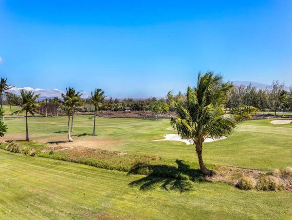 Kohala Coast Home 1000920