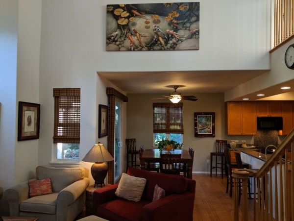 Kohala Coast Home 1000922