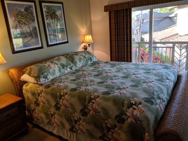 Kohala Coast Home 1000922