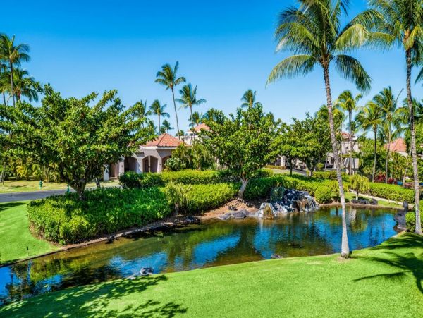 Kohala Coast Home 1000923