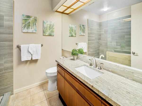 Kohala Coast Home 1000923