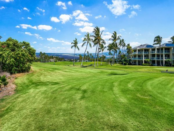 Kohala Coast Home 1000923