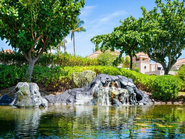 Kohala Coast Home 1000923