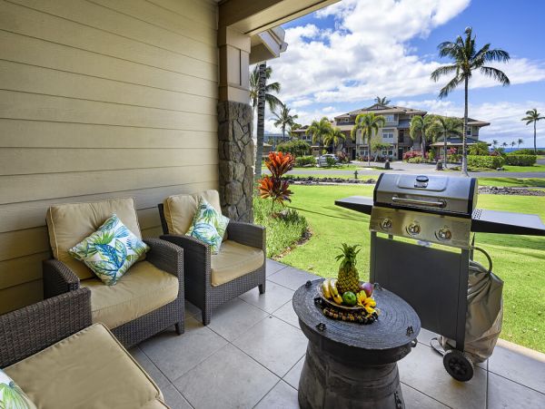 Kohala Coast Home 1000924