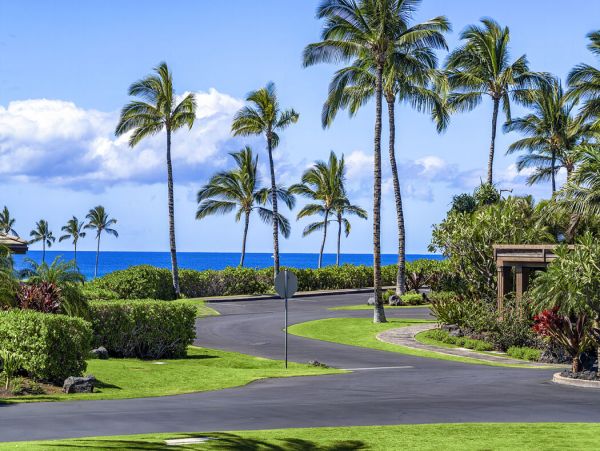 Kohala Coast Home 1000924
