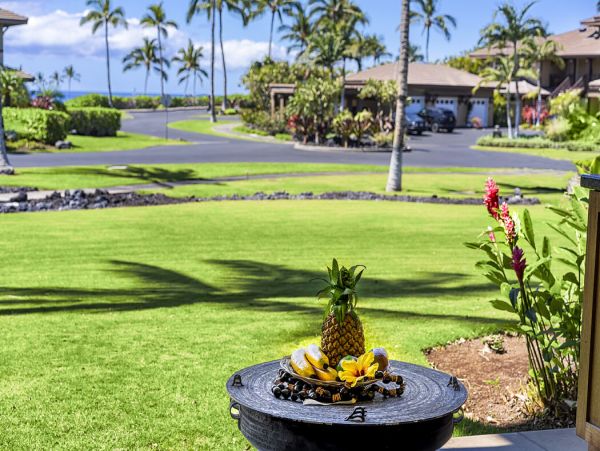 Kohala Coast Home 1000924