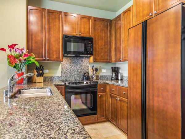 Kohala Coast Home 1000925