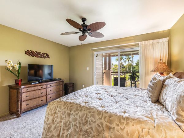 Kohala Coast Home 1000925