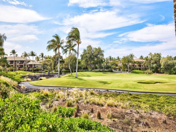Kohala Coast Home 1000925