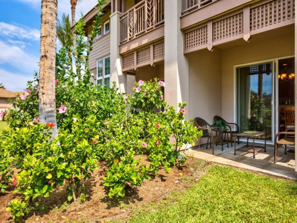 Kohala Coast Home 1000925