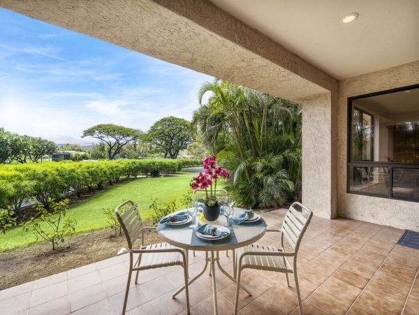 Kohala Coast Home 1000929