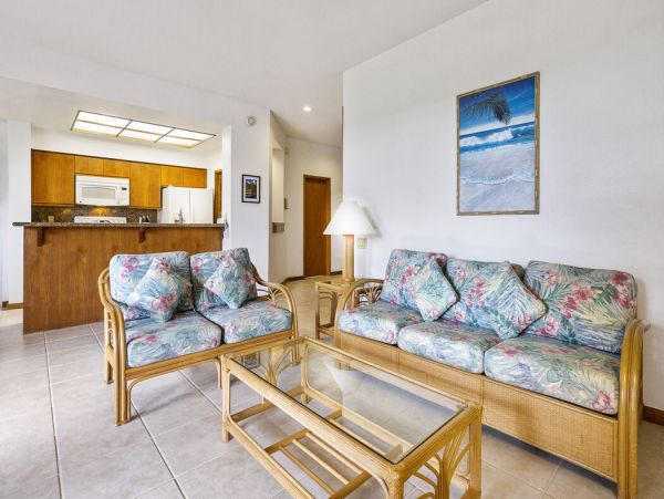 Kohala Coast Home 1000929