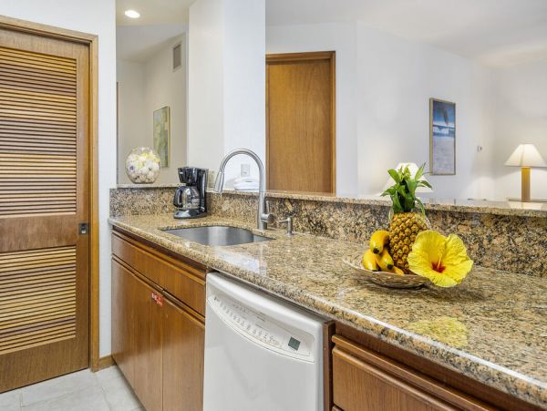 Kohala Coast Home 1000929