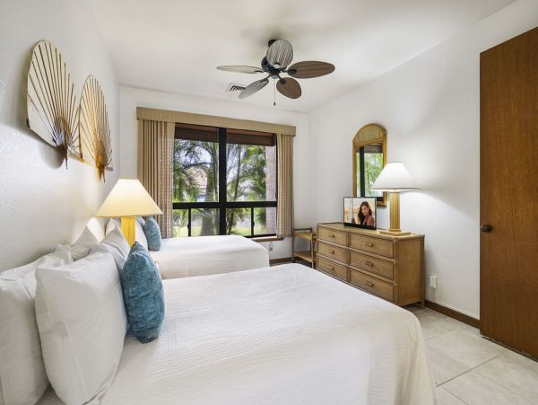 Kohala Coast Home 1000929