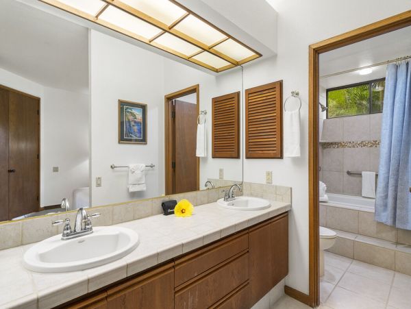Kohala Coast Home 1000929