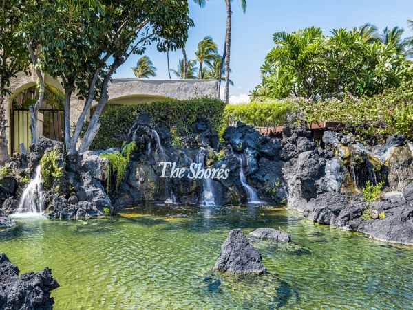 Kohala Coast Home 1000929