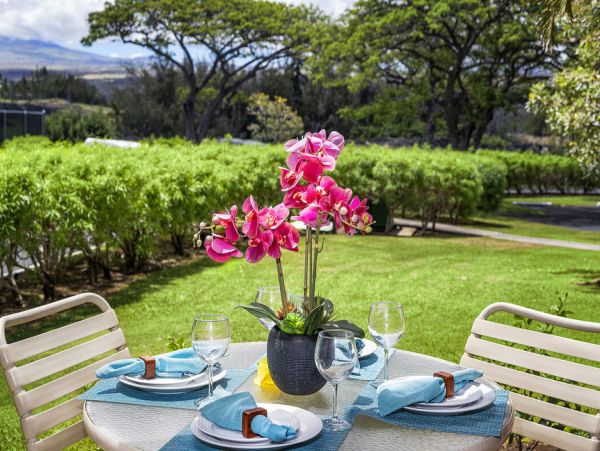 Kohala Coast Home 1000929