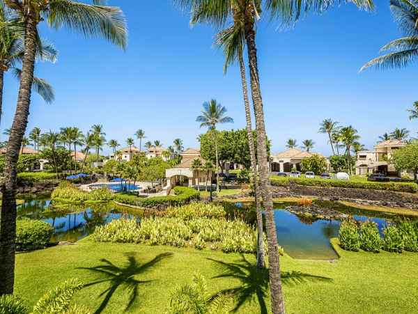 Kohala Coast Home 1000929