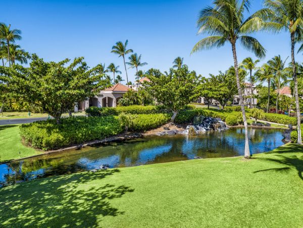 Kohala Coast Home 1000929