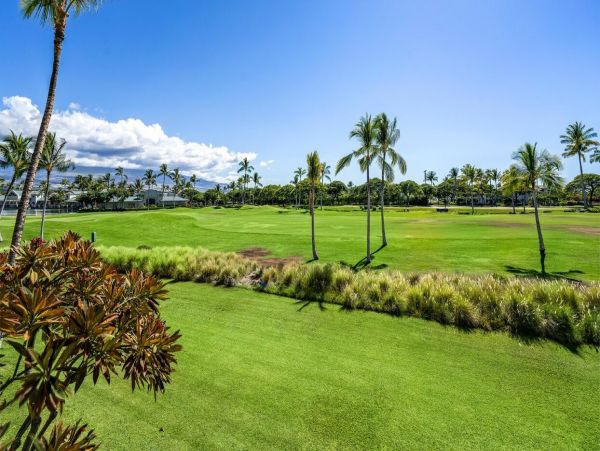 Kohala Coast Home 1000930