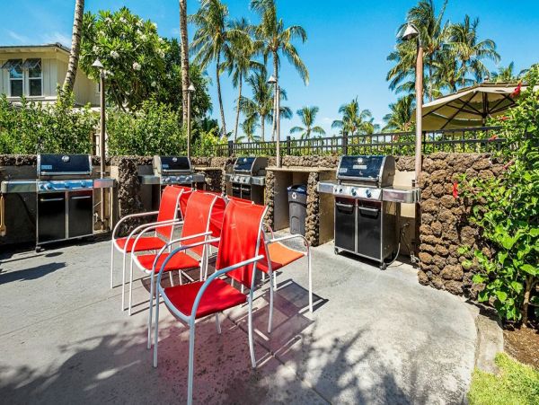 Kohala Coast Home 1000930