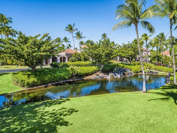 Kohala Coast Home 1000931